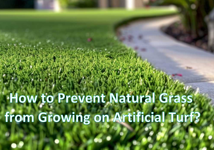 How to Prevent Natural Grass from Growing on Artificial Turf?