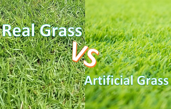 Real Grass VS Artificial Grass